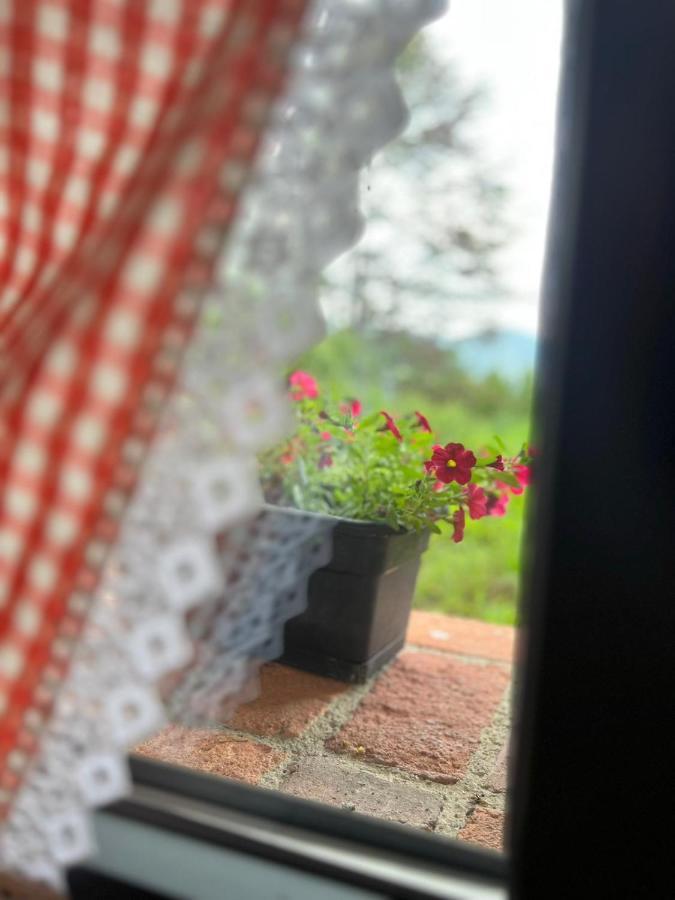 La Cabana De La Nina Beceña Zewnętrze zdjęcie